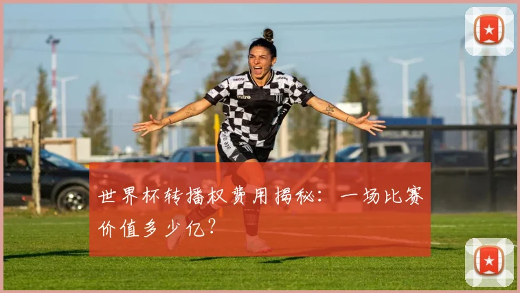 世界杯转播权费用揭秘：一场比赛价值多少亿？